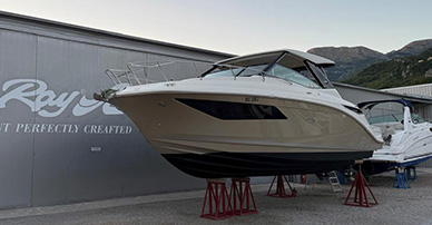 searay320