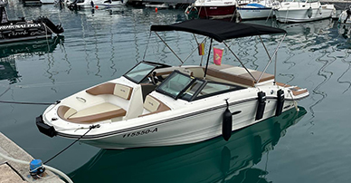 SeaRay190
